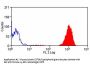 Ly6b Antibody - FITC Conjugated (OASA05672)