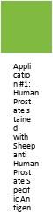 KLK3 Antibody (OASA09263)