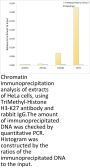 Histone H3K27me3 Antibody