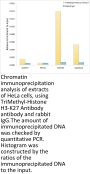 Histone H3K27me3 Antibody