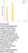 Histone H3K79me3 Antibody