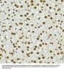 Histone Cluster 2, H4b (HIST2H4B) Antibody