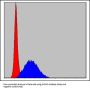 DNA Replication Licensing Factor MCM2 (MCM2) Antibody