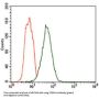 Fc Fragment of IgE, High Affinity I, Receptor (FCER1A) Antibody