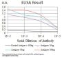 Ras-Related Protein Rap-1A (RAP1A) Antibody
