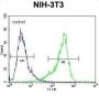 Cytochrome P450 26A1 (CYP26A1) Antibody