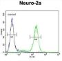 DDX11 Antibody