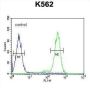 Receptor-Transporting Protein 4 (RTP4) Antibody