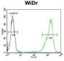Zinc Finger Protein 180 (ZN180) Antibody