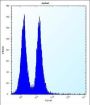 Transcription Factor MafB (MAFB) Antibody