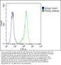 Pulmonary Surfactant-Associated Protein C (SFTPC) Antibody
