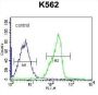 Zinc Finger Protein 146 (ZNF146) Antibody
