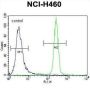 Interleukin 6 (IL6) Antibody