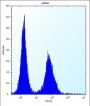 DnaJ (Hsp40) Homolog, Subfamily C, Member 9 (DNAJC9) Antibody