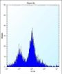 Mouse Plk3 Antibody