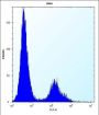 Vitamin D3 Receptor (VDR) Antibody