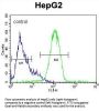 NANOG Antibody