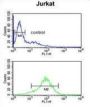 Ankyrin Repeat Domain-Containing Protein 49 (ANR49) Antibody