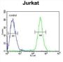 SAM Domain, SH3 Domain And Nuclear Localization Signals 1 (SAMSN1) Antibody