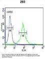 APC Membrane Recruitment Protein 1 (AMER1) Antibody