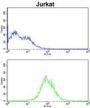 CDCA3 Antibody
