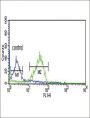 Proto-Oncogene Wnt-1 (WNT1) Antibody