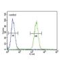 Gastric Inhibitory Polypeptide Receptor (GIPR) Antibody