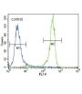 FGFR2 Antibody