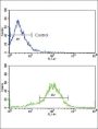 Retinol (RET) Antibody