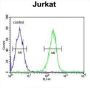 DTX1 Antibody