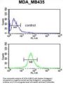 GABRD Antibody