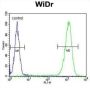 TSPAN33 Antibody