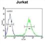 TM173 Antibody