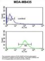 Nuclear Prelamin A Recognition Factor Like (NARFL) Antibody