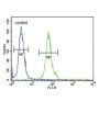 DFFB Antibody