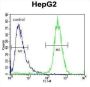 TYROBP Antibody