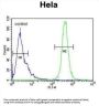 U3 Small Nucleolar Ribonucleoprotein Protein IMP3 (IMP3) Antibody