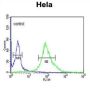 DEAD (Asp-Glu-Ala-Asp) Box Polypeptide 49 (DDX49) Antibody