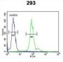 DNA-Binding Protein Inhibitor ID-4 (ID4) Antibody
