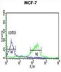CI091 Antibody