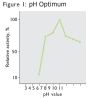 Glucose-6-Phosphate Dehydrogenase (G6PD) Enzyme (Active)