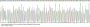Mouse Allograft Inflammatory Factor 1 (AIF1) Protein