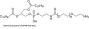 DPPE-PEG-NH2