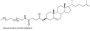 mPEG-Cholesterol