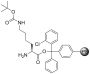 H-L-Lys(Boc)-2-Cl-Trityl Resin