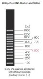 0.1-1.5 kbp DNA Marker