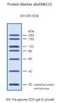 30-200 kDa Protein Marker