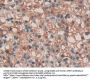 Sprouty Homolog 3 (SPRY3) Antibody