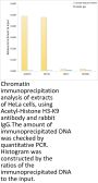 Histone H3 Acetyl-Lys9 (H3 AcK9) Antibody