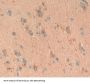 Cellular Retinoic Acid Binding Protein 1 (CRABP1) Antibody